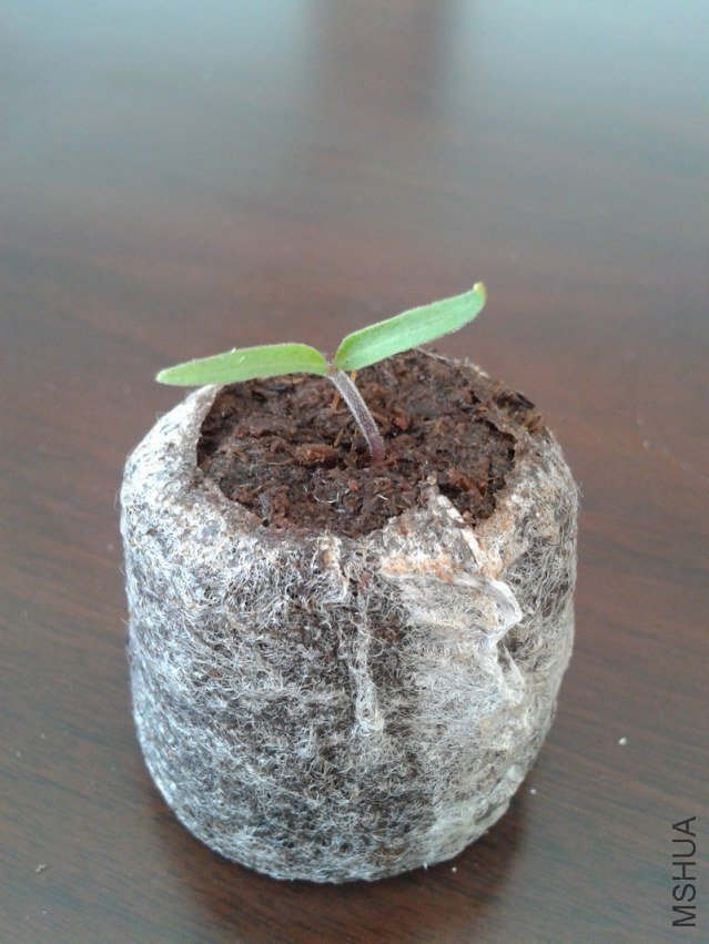 2012-03-24 12.09.03.jpg