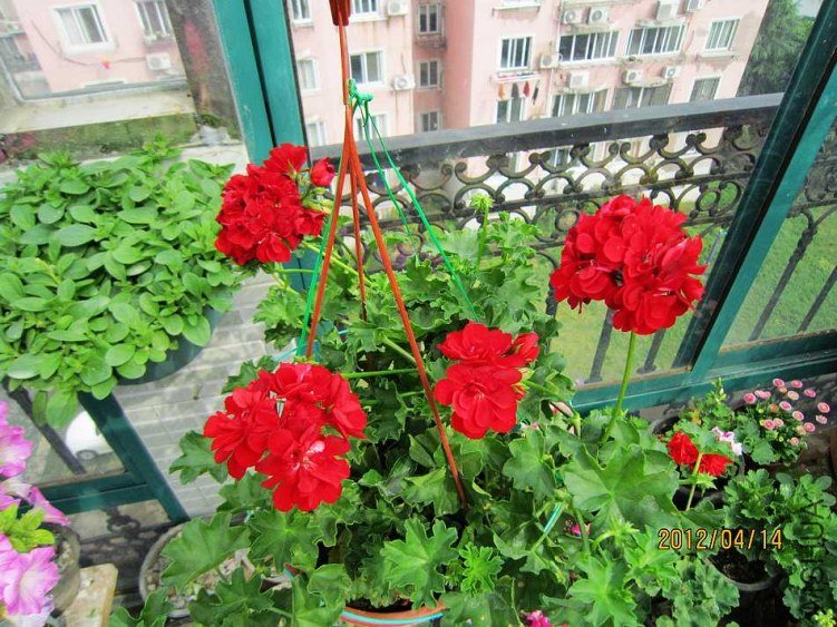 IMG_3069.jpg