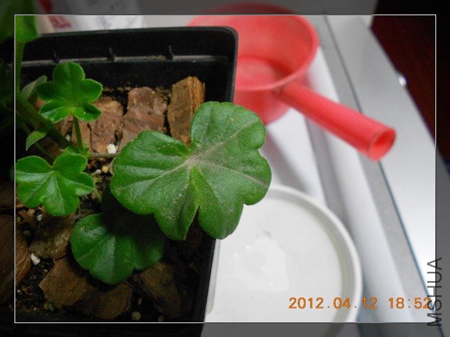 DSCN2475.jpg