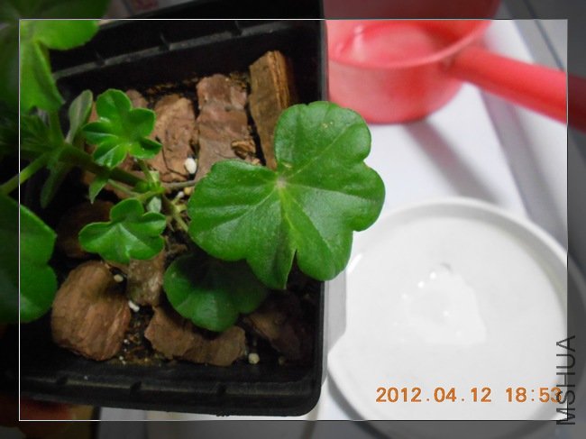 DSCN2476.jpg