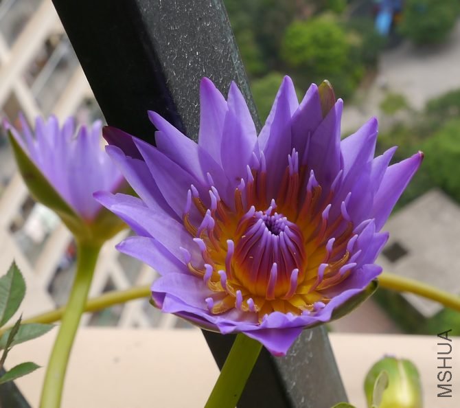 P101628.jpg