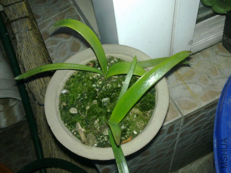 201204143112.jpg