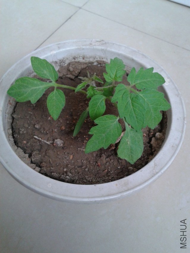 2012-04-15 17.02.28.jpg