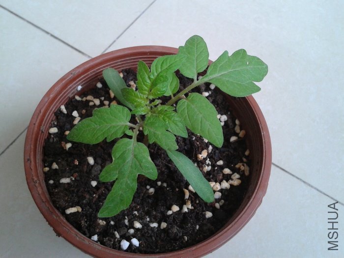 2012-04-15 17.03.39.jpg