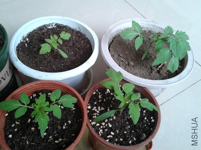 2012-04-15 17.02.46.jpg
