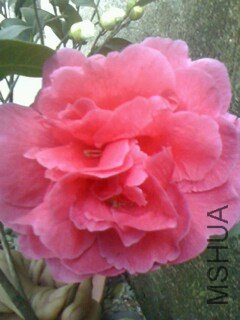 IMG0402180300.jpg