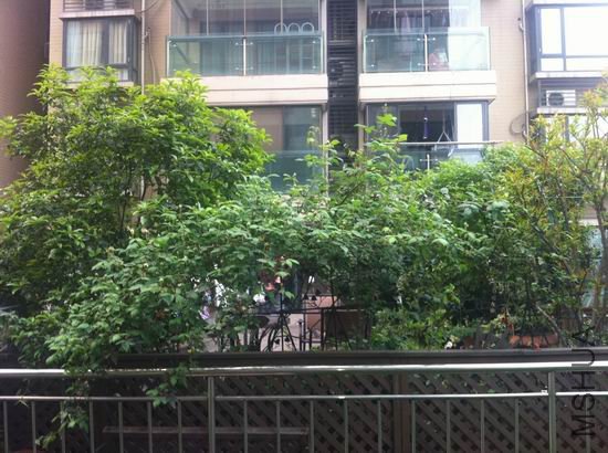 ������С ��Ƭ 016.jpg