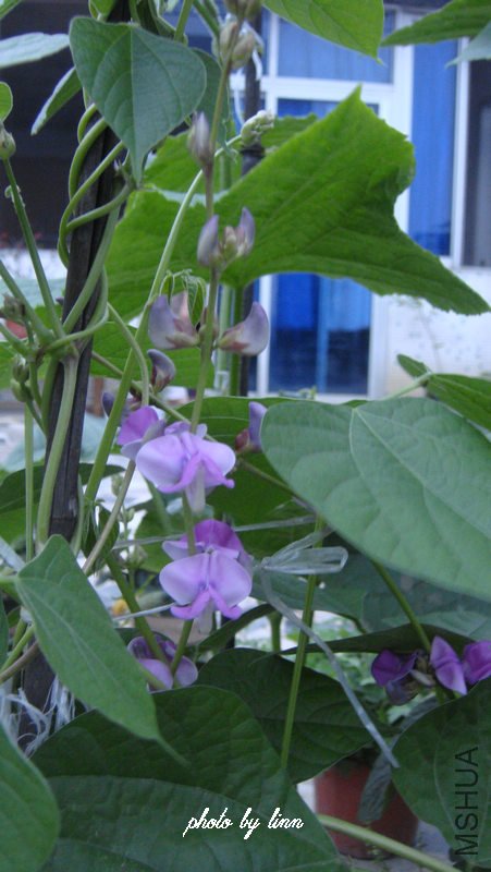DSC01650.jpg