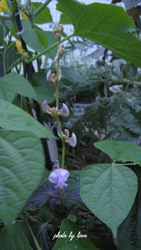DSC01654.jpg