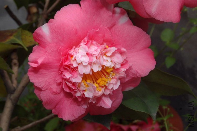 DSC_00290029.JPG