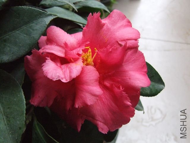 DSCF3008.jpg