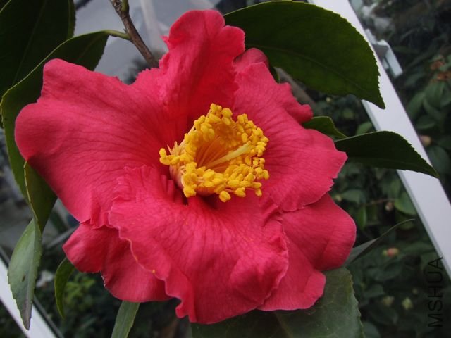 DSCF3548.jpg