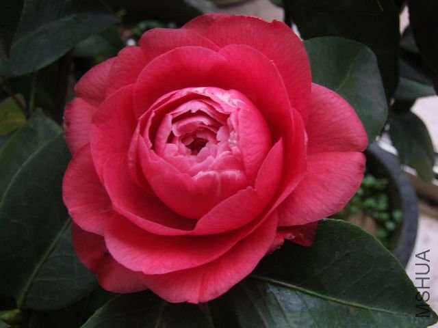 DSCF3692.jpg