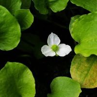 ͦˮ �����������ֵĳ������ͨ��й