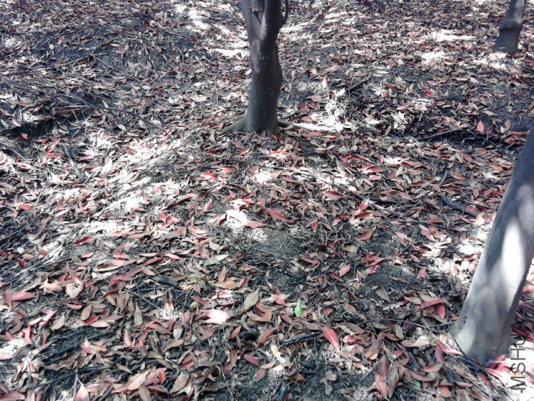 ��Ƭ0183.jpg