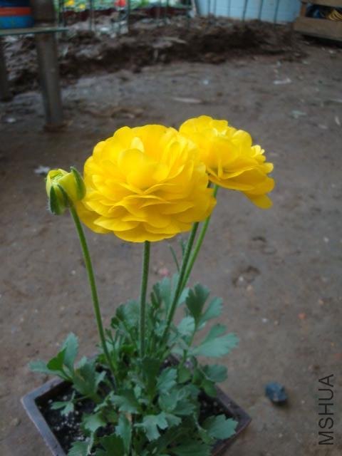Table_Table_DSC09940.jpg