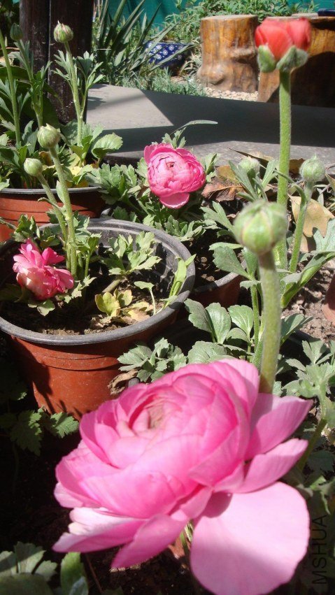 Table_Table_Table_DSC09932.jpg