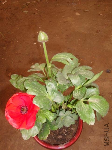 Table_Table_DSC09949.jpg
