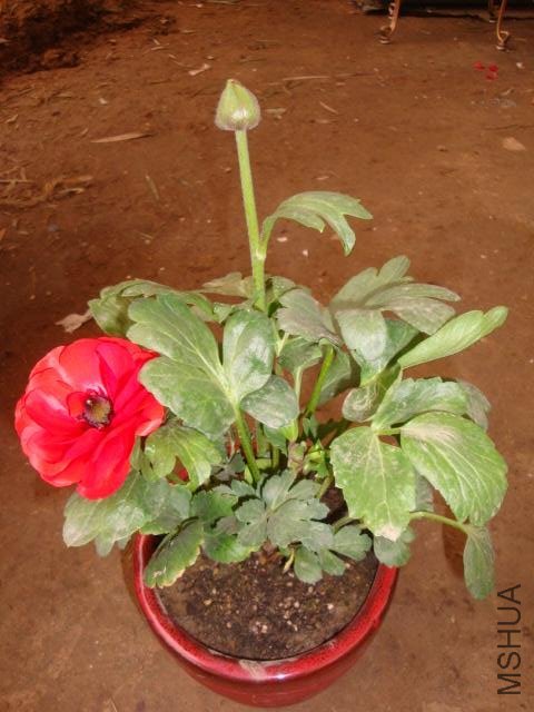 Table_Table_DSC09950.jpg