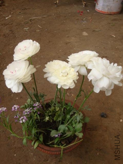Table_Table_DSC09958.jpg