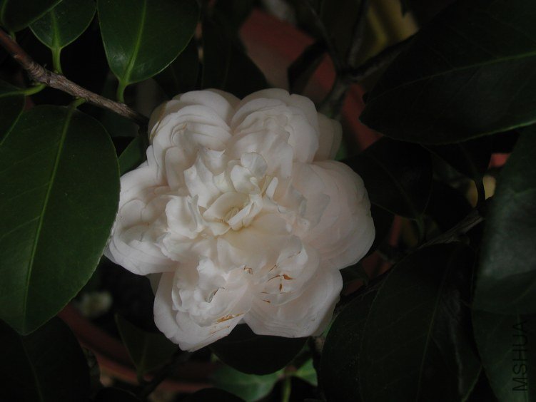 P1010005.JPG