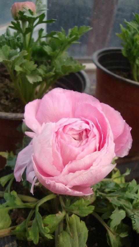 Table_Table_Table_DSC09896.jpg