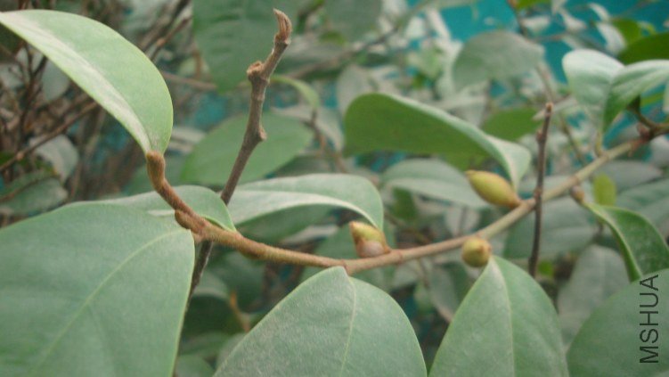 Table_Table_Table_DSC09862.jpg