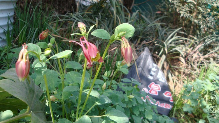 Table_Table_Table_DSC09915.jpg