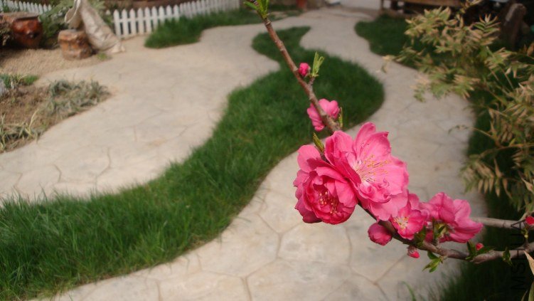 Table_Table_Table_DSC09880.jpg