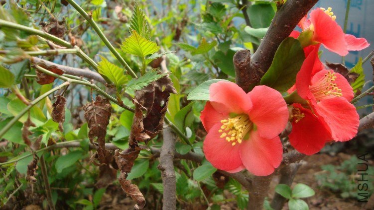 Table_Table_Table_DSC09878.jpg