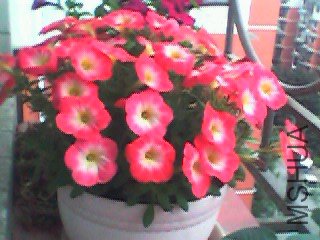 ��ǰ���쿪�ĸ����ˡ�