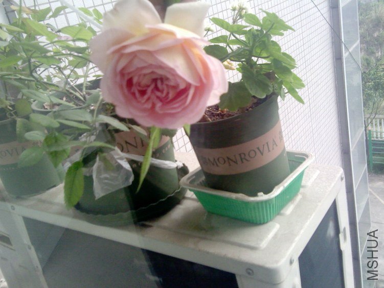 2012-04-17 16.20.01.jpg