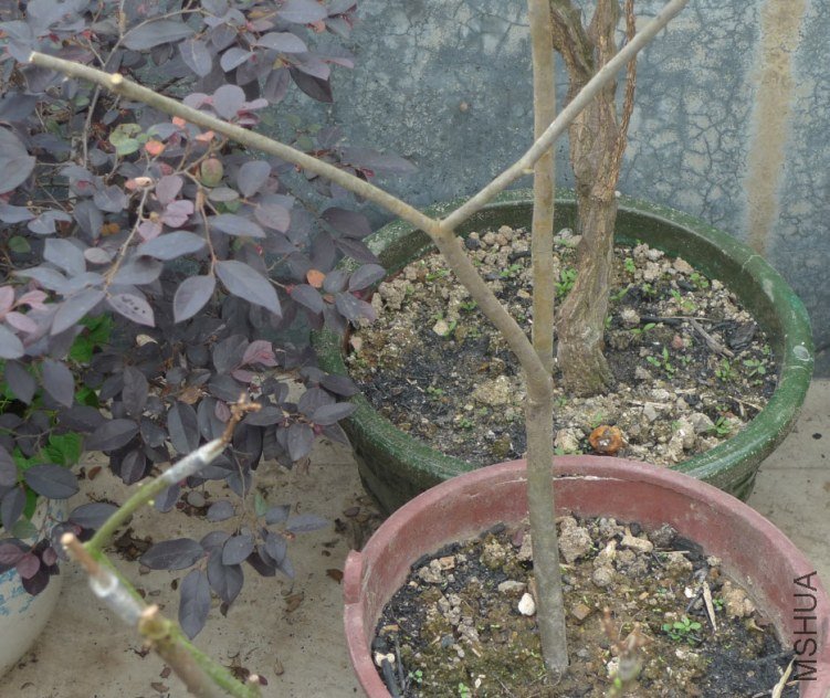 2012-4-18 ���� 07-51-19.jpg