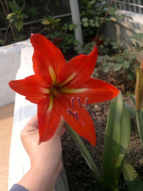 ��Ƭ 013.jpg