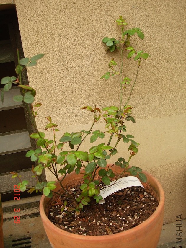 DSC04332.JPG