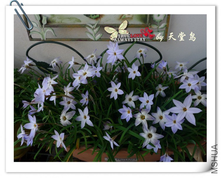 P1010460_����.jpg