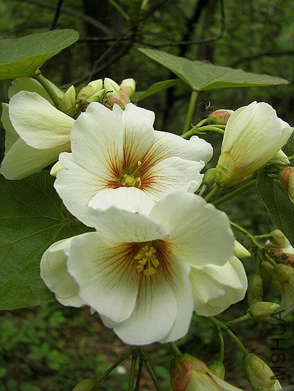 101_9539.jpg