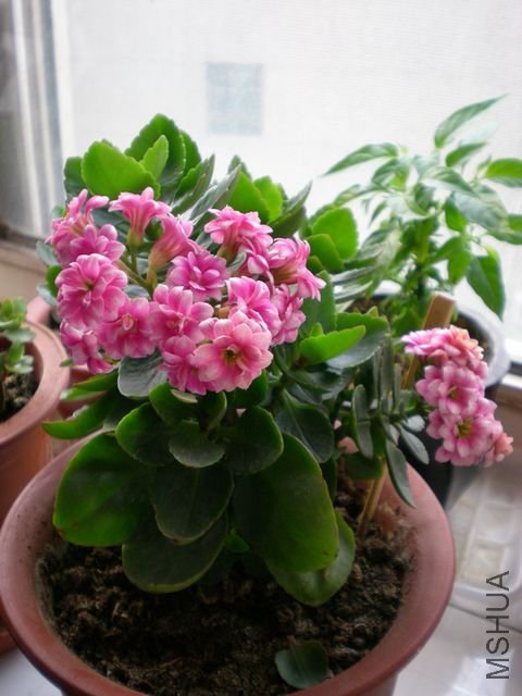 ����Ƭ 081.jpg