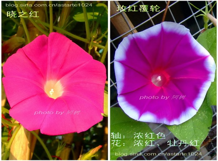 3 Ũ��ɫ Ũ�졢ĵ����.jpg