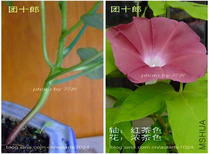 5 ��� Ũ��.jpg