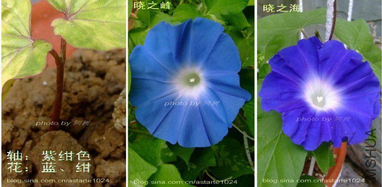 6 ���  �� �.jpg