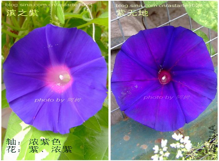 7 Ũ�� �ϡ�Ũ��.jpg