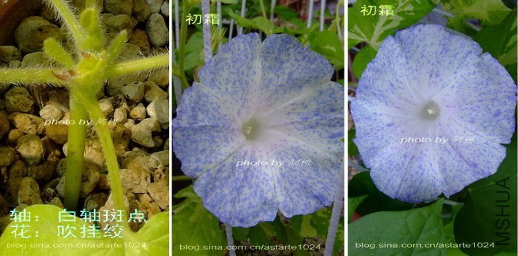 9 ����ߵ�  ���ҽ�.jpg