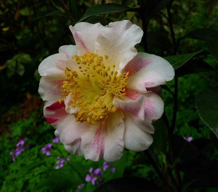 P1550345.jpg
