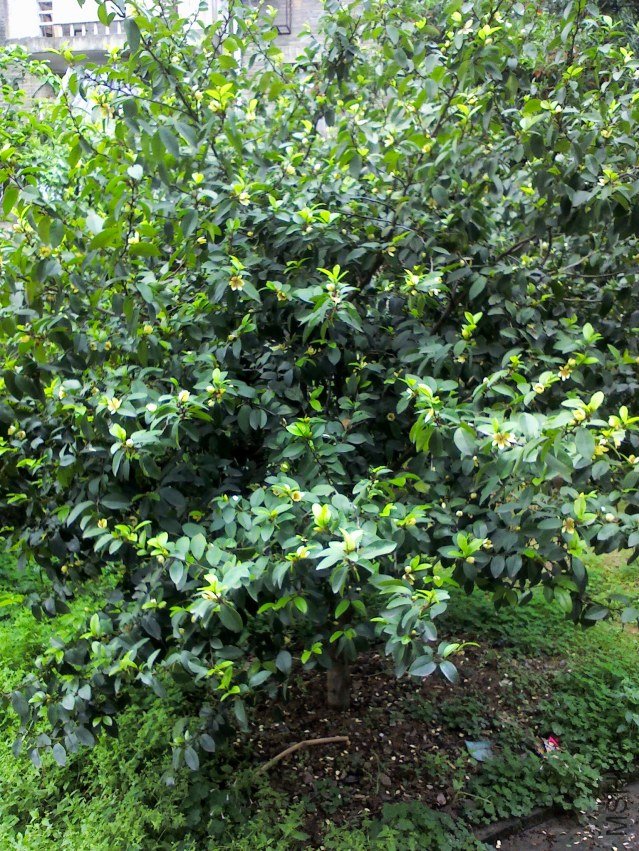YP20120418155909.jpg
