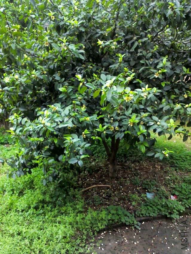 YP20120418155934.jpg