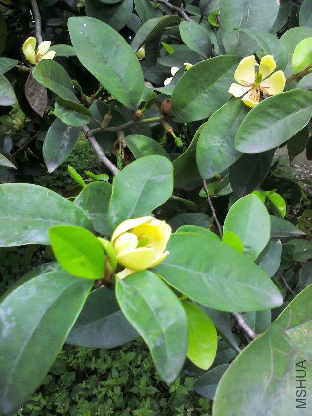 YP20120418160142.jpg
