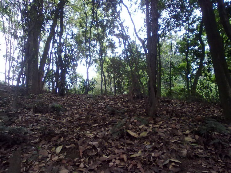 20120418093.jpg
