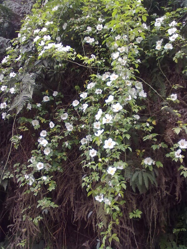 20120418100.jpg