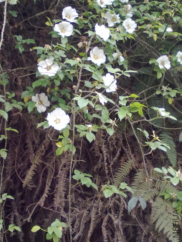 20120418103.jpg
